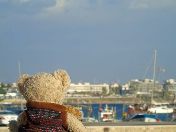 Rear view of stuffed toy against sky