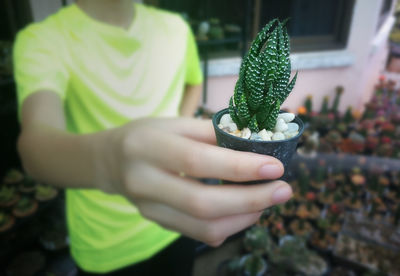 Close-up of hand holding plant