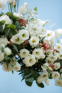 Close-up of flowers