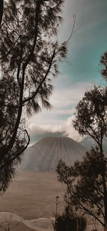 Scenic view of landscape against cloudy sky