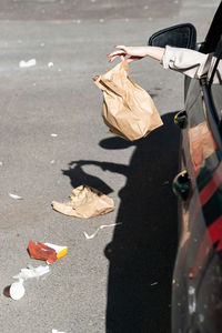 Cropped image of woman throwing garbage on street from car