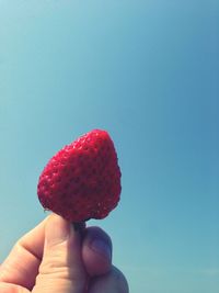 Cropped image of person holding spoon