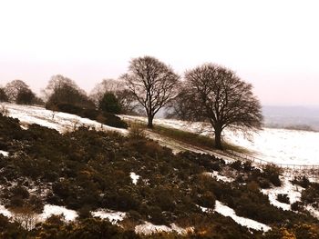 Trees on snow covered field against sky