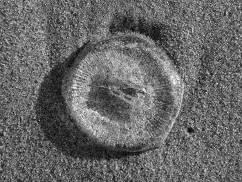 Full frame shot of paving stone