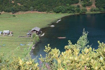 High angle view of ducks on field by lake