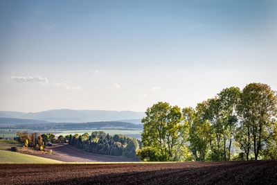 Trees on field against sky