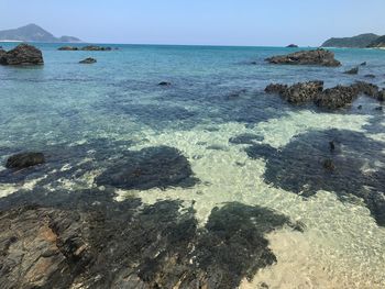 Scenic view of sea shore against sky