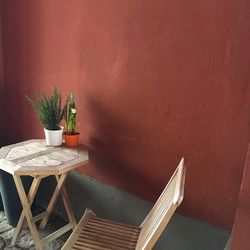 Potted plant on table against wall