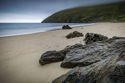 Driftwood on beach against sky