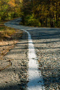 Surface level of road amidst trees in city