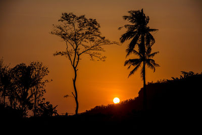 Silhouette trees against sky during sunset