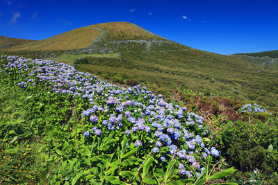 Scenic view of mountains against blue sky