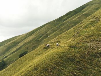 Scenic view of green landscape against sky