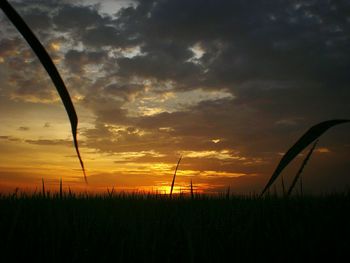 Scenic view of landscape against cloudy sky at sunset