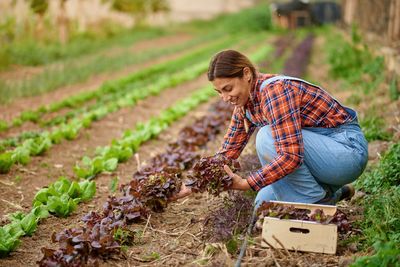 Portrait of young man working at farm