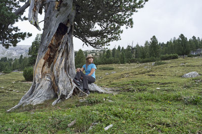 Woman sitting on a strange and twisted big tree, observe its branches