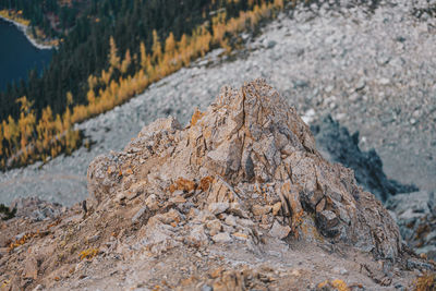 Close-up of rocks on land