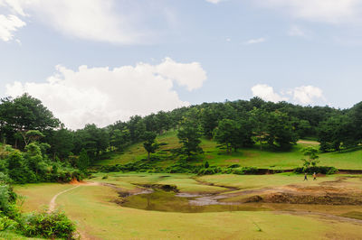 Scenic view of trees on field against sky