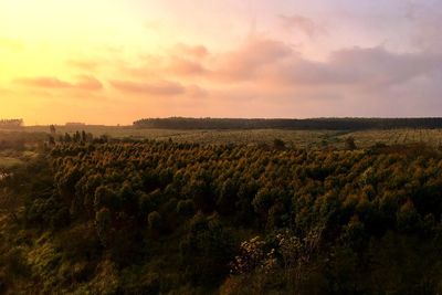 Scenic view of field against sky during sunset