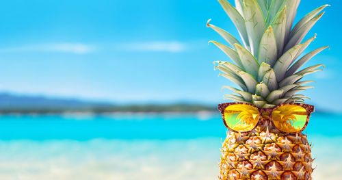 Close-up of pineapple against sky