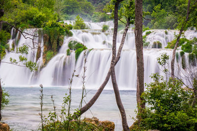 Scenic view of waterfall in forest