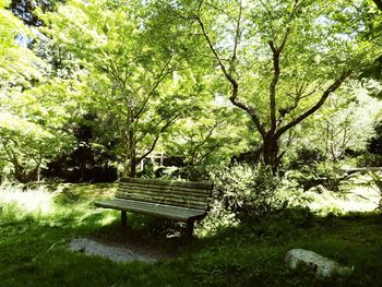 Empty bench in park