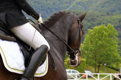 Side view of man riding horse