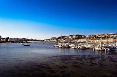 Sailboats moored in harbor by city against clear blue sky