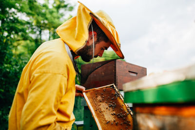 Beekeeper holding honeycomb