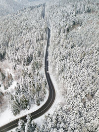 Aerial view of a snow-covered forest road