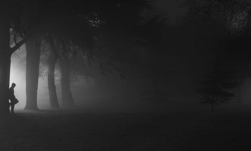 Silhouette person standing by tree in forest