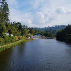 Scenic view of river amidst trees against sky