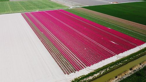 High angle view of agricultural field