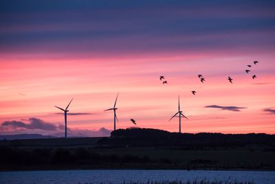 Silhouette cranes against sky during sunset