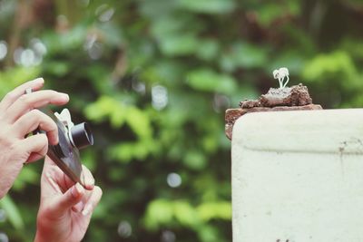 Close-up of hand holding ice cream