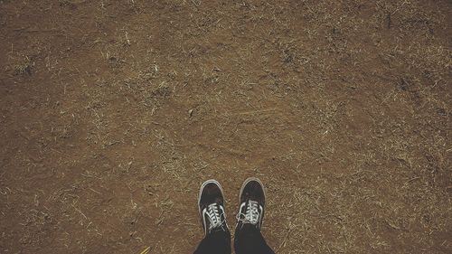 Low section of person standing on field