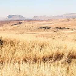 Scenic view of arid landscape against sky
