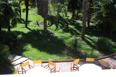 Empty chairs and tables by swimming pool against trees