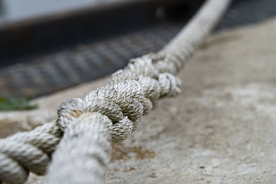 Close-up of rope tied up on wood