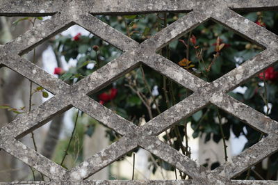 Close-up of chainlink fence