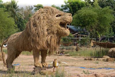 Side view of giraffe on field
