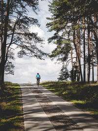 Rear view of man walking on road amidst trees