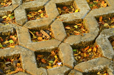 High angle view of stone wall