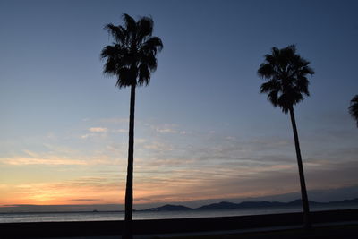 Low angle view of silhouette palm trees against sky during sunset