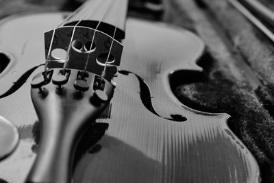 Close-up of violin