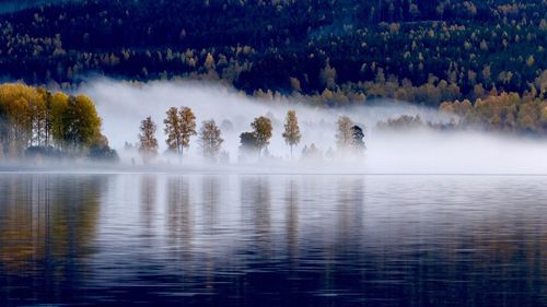 Scenic view of lake in forest during foggy weather