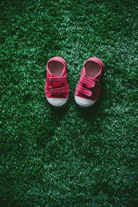 Directly above shot of shoes on field