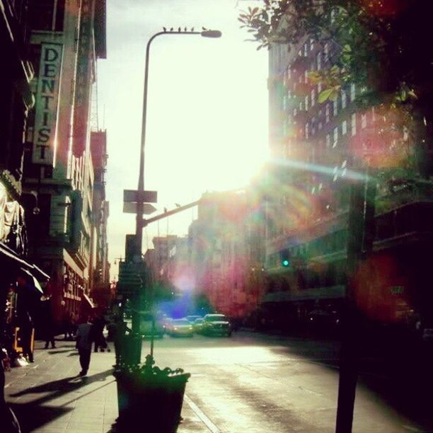 building exterior, built structure, architecture, sun, sunlight, sunbeam, lens flare, city, street, tree, transportation, car, road, building, sunny, sidewalk, city street, city life, the way forward, street light