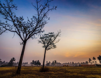 Bare tree on field against sky during sunset
