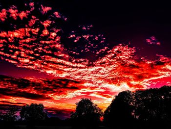 Low angle view of silhouette trees against sky at sunset